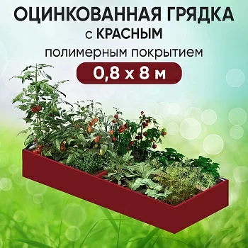 Грядка красная (0,8 х 8)
